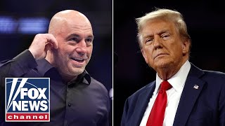 Joe Rogan advises Trump after 2024 victory Let them all talk their s [upl. by Silloh]