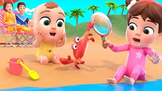 A Sailor Went to Sea Sea Sea  More Lalafun Nursery Rhymes amp Educational Songs [upl. by Acyssej]