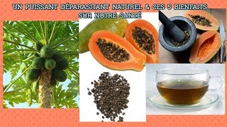 UN PUISSANT DÉPARASITANT NATUREL ET CES 5 BIENFAITS SUR NOTRE SANTÉ [upl. by Ahcrop]