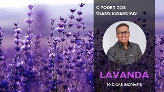 LAVANDA  10 Dicas Incríveis  O Poder dos Óleos Essenciais [upl. by Feinberg]