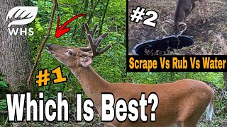 Mock Vine Scrape Vs Waterhole Vs Fake Rub [upl. by Yrome]