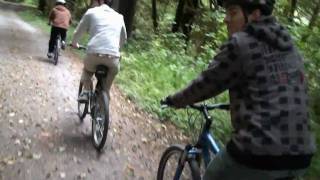 Redwood National And State Parks Bike Riding [upl. by Fihsak803]