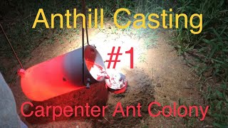 Anthill Art Casting 1st [upl. by Mailliwnhoj]