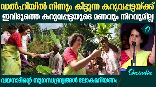 വയനാട്ടിലെ സുഗന്ധദ്രവ്യങ്ങൾ ലോകത്തിലെ ഏറ്റവും മികച്ചതാണെന്ന് ലോകം പറയണം [upl. by Llenod]