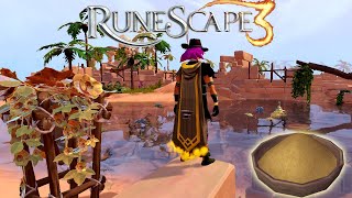 Hunting Dazzling Whirligigs Is Amazing Money amp XP  28MPHour Runescape 3 Money Making Method [upl. by Aliuqet]