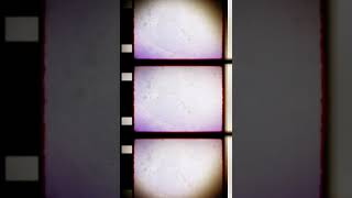 Vertical 4K Old Film 16mm film strip filter effect Kodak scrolling shorts  Snowman Digital [upl. by Lorine]