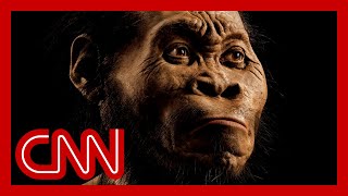 That just died Paleoanthropologist debunks myth about humans [upl. by Reidid378]