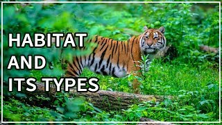 Habitat  Types of habitat  Animal Videos for Kids  eLearn K12 [upl. by Schechter]