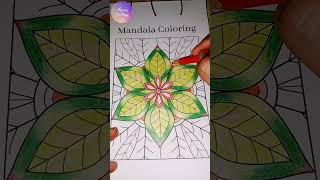 Mandala Coloring 🎨Aquita Gallery 40 [upl. by Drofdeb170]