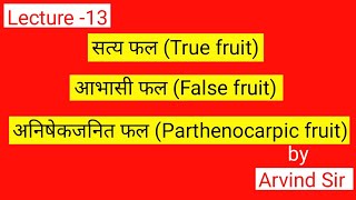 सत्य फल True fruit  आभासी फलFalse fruit  अनिषेकजनित फल Parthenocarpic fruit class 12th [upl. by Henni]