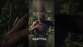 Бей или беги  Anykey shorts музыка monkey saxophone мем music [upl. by Ynnaf]