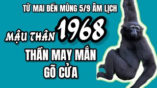 Tuổi Mậu Thân 1968 Thời tới cản không kịp thần may mắn gõ cửa từ nay đến 59 âm lịch [upl. by Havstad896]