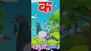 Ka se Kabutar Pigeon means Kabutar trending shorts viral [upl. by Iridissa337]