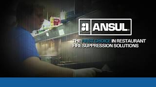 Ansul Kitchen Restaurant Fire Suppression Video [upl. by Nason]