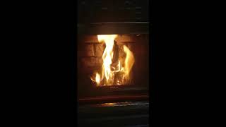 Whitfield Pellet Stove instructional video [upl. by Tonjes889]