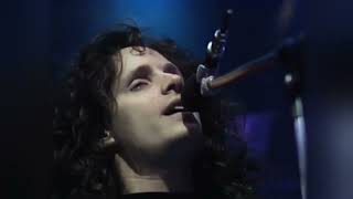 Robbie Nevil  Cest La Vie Top Of The Pops 1987 [upl. by Kale]