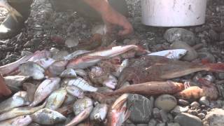 I Pescatori di Roseto Capo Spulico [upl. by Penelope]