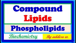 complex Lipids phospholipids and Glycolipids compound lipids chemistry biochemistry [upl. by Arev]