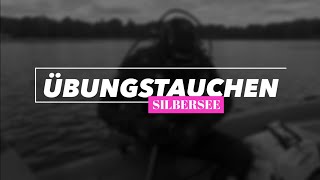 Übungstauchen der DLRG Langenhagen am Silbersee [upl. by Boggs]