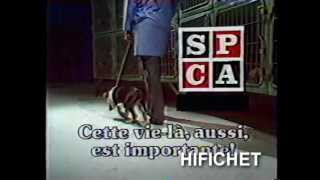 SPCA Publicité Québec [upl. by Vaios6]