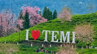 Kalimpong to Timi Tarku Trip [upl. by Abroms]