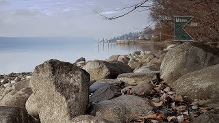 Wintertauchgänge im Bodensee [upl. by Bolt418]