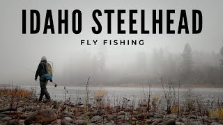 Fly Fishing Van Trip for Fall Steelhead in Idaho [upl. by Sethrida397]