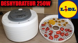 LIDL déshydrateur alimentaire SILVERCREST SDAG 250 A1 Food Dehydrator Dörrautomat [upl. by Ailimat]