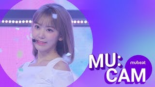 Mucam IZONE Miyawaki Sakura  Mubeat in Show Champion [upl. by Ahseyd]