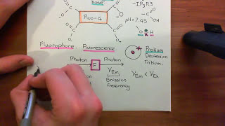 Measuring Intracellular Calcium with Fluo4 Part 3 [upl. by Haleeuqa]