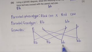 G12 BIOLOGY PAPER 2 2017 GCE GENETIC DIAGRAM Q5 [upl. by Nytsirc]