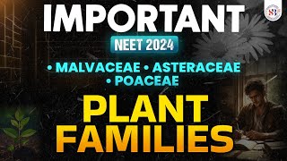 IMPORTANT PLANT FAMILIES FOR NEET 2024  MALVACEAE ASTERACEAE POACEAE  NEET BIOLOGY BY SANKALP [upl. by Hartman]