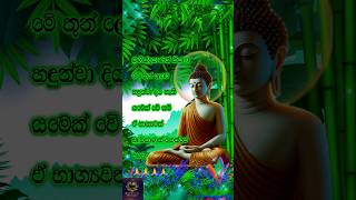 මුණින්ද්‍රයාණෙනි🙏🙏BuddhismforLife2809motivation subscribe buddha foryou shorts [upl. by Yarvis]