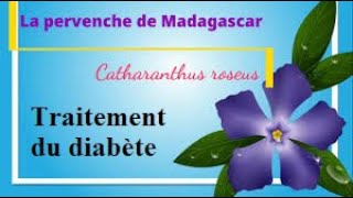 diabète avec la pervenche de madagascar traitement efficace [upl. by Eseeryt746]