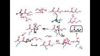 Acetoacetic ester synthesis [upl. by Samira]