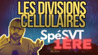 Les divisions cellulaires chez les eucaryotes  1ère Spécialité SVT svt lycée cellule [upl. by Parhe28]