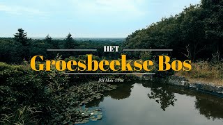 Groesbeekse Bos  DJI Mini 4 Pro [upl. by Ramedlaw]