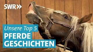 Top 5 Unsere schönsten Pferdegeschichten [upl. by Sanchez627]