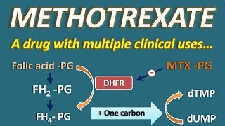 Methotrexate  A drug with multiple clinical uses [upl. by Tiemroth]