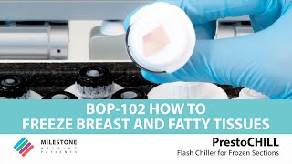 PrestoCHILL  BOP102  How to freeze breast and fatty tissues [upl. by Nodrog]