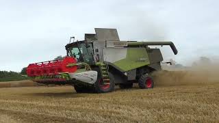 Harvest 2024  Harvesting Oats with Claas 630 Lexion Combine [upl. by Anavlys419]