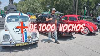 Caravana de Vochos en Toluca 2024Se reunierón más de 1000 vochosIncreible ver tantos autos [upl. by Adon]