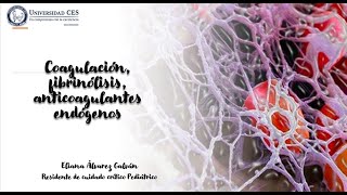 Coagulación amp Fibrinólisis 2 de 2 Curso Fisiología de la UCIP 2023 05 31 [upl. by See469]