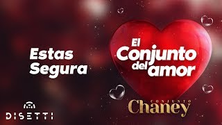 Conjunto Chaney  Estas Segura  Salsa Romantica con Letra [upl. by Uzial]