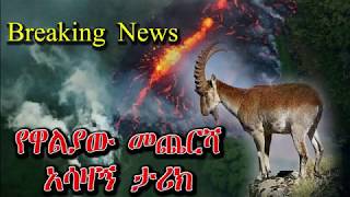 Ethiopia  Simien Mountains Fire is out of control [upl. by Abbie758]