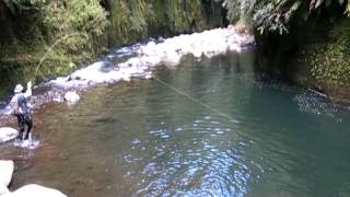 Fly fishing in some of the best trout fishing water I have ever seen [upl. by Yardley830]