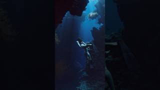 Underwater canyons in Bali 😍🤿 [upl. by Anev79]