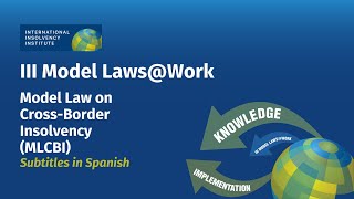 Subtitles in EspañolAn Introduction to UNCITRALs Model Law on CrossBorder Insolvency Law MCBLI [upl. by Anirda]