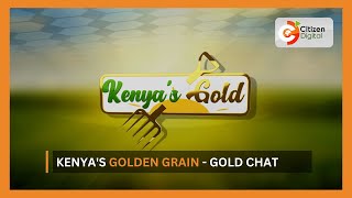 Kenyas Gold  Kenyas Golden Grain  Gold Chat Part 2 [upl. by Nojel]