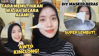 DIY MASKER BERAS  CARA MEMUTIHKAN WAJAH SECARA ALAMI DAN CEPAT  indri meiliana [upl. by Nwahshar873]